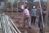 Three men raising bamboo poles beside a stack of cut bamboo