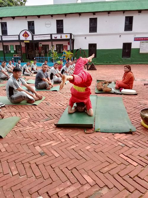 Rows of participants seated on mats during a free session