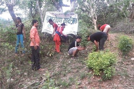 Tree planting at Phujel, Gorkha
